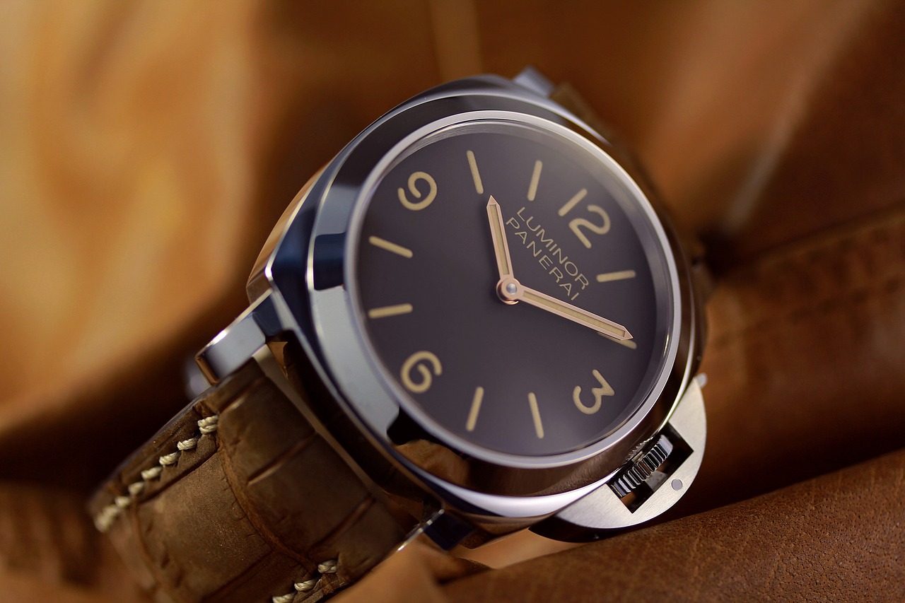 panerai  luminor  marina free photo