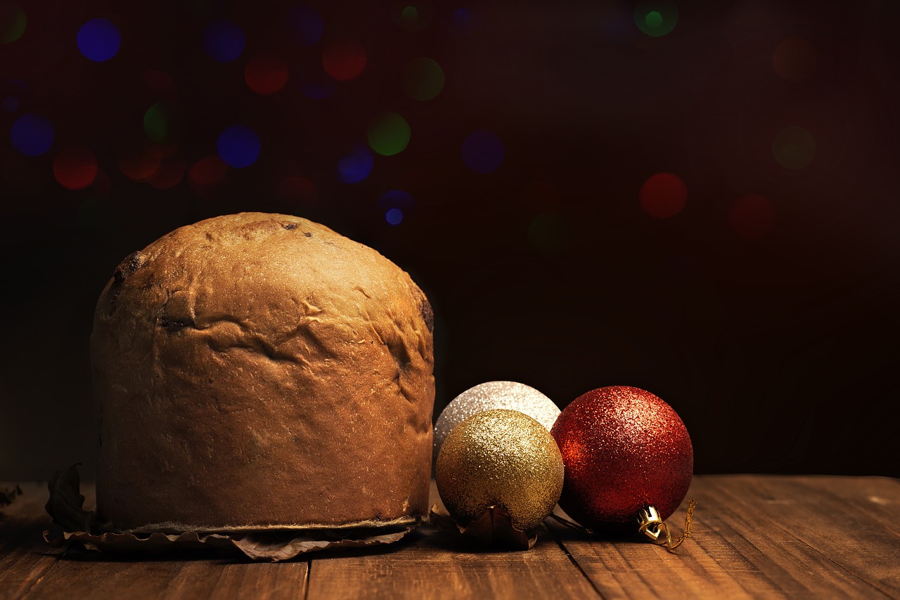 panettone christmas papei noel free photo