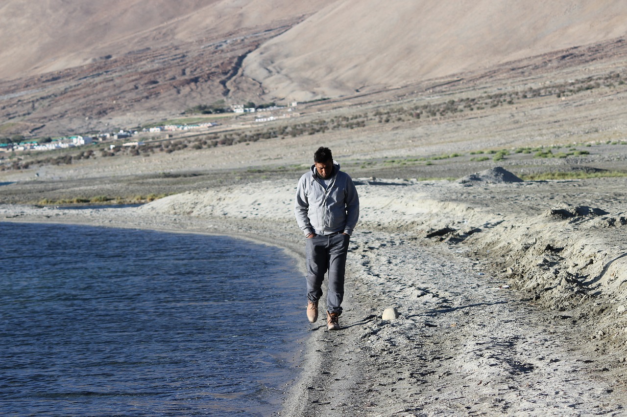 pangong lake himalyan free photo