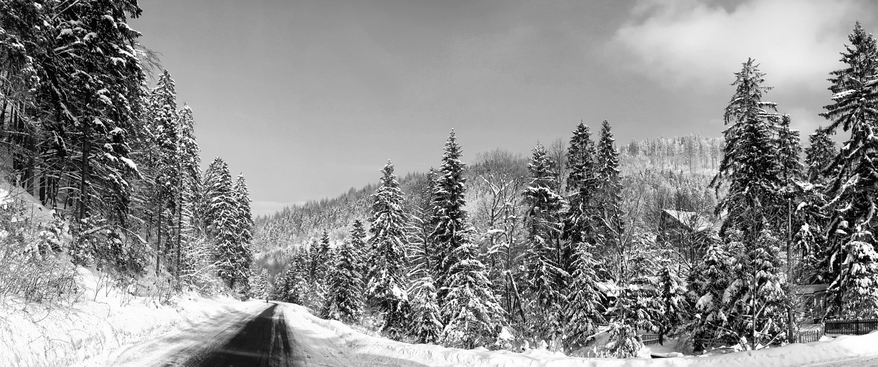 panorama snow nature free photo