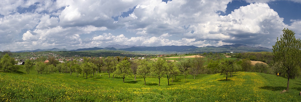 panorama spring landscape free photo