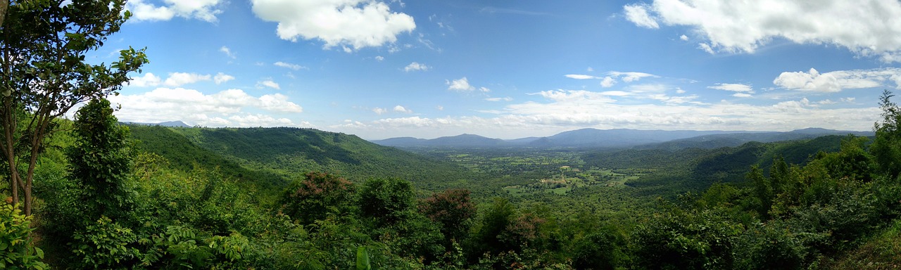 plant view mountain free photo