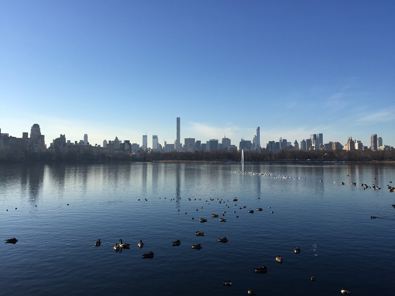 new york panorama city free photo