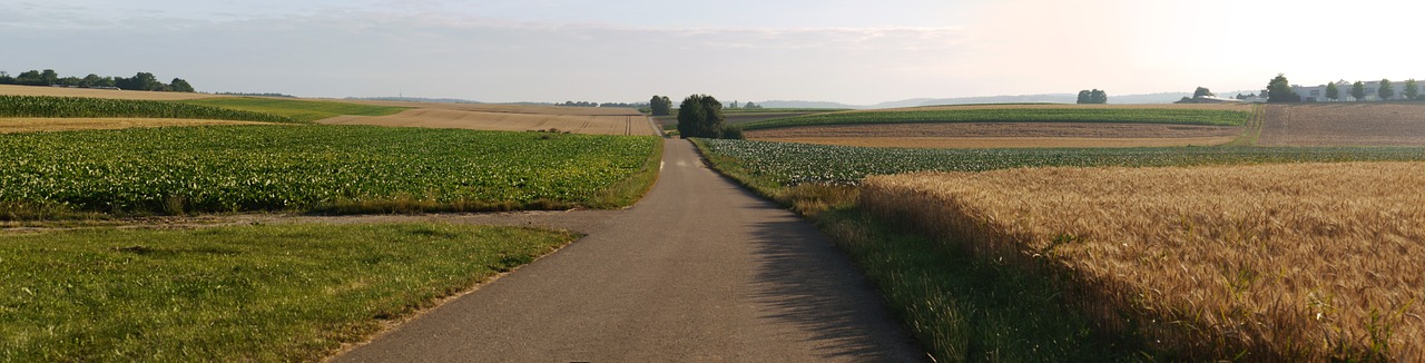 panorama fields morgenstimmung free photo