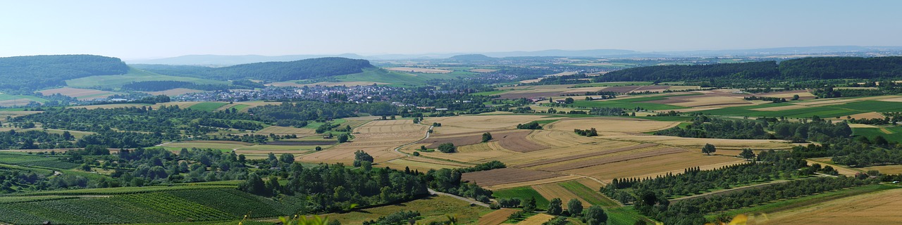 panorama fields vineyards free photo
