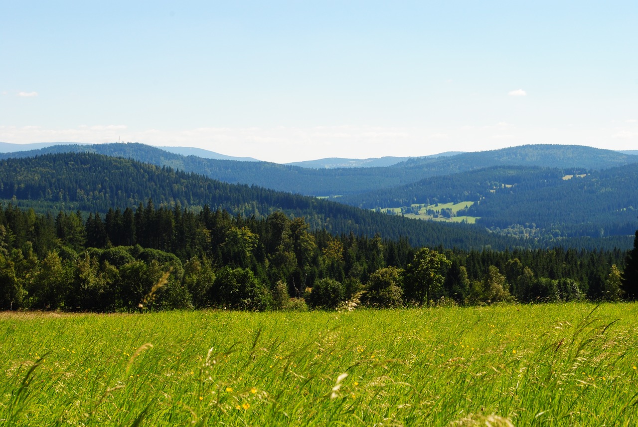 panorama view green free photo