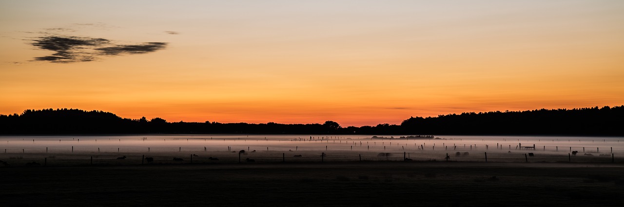 panorama sunset forest free photo