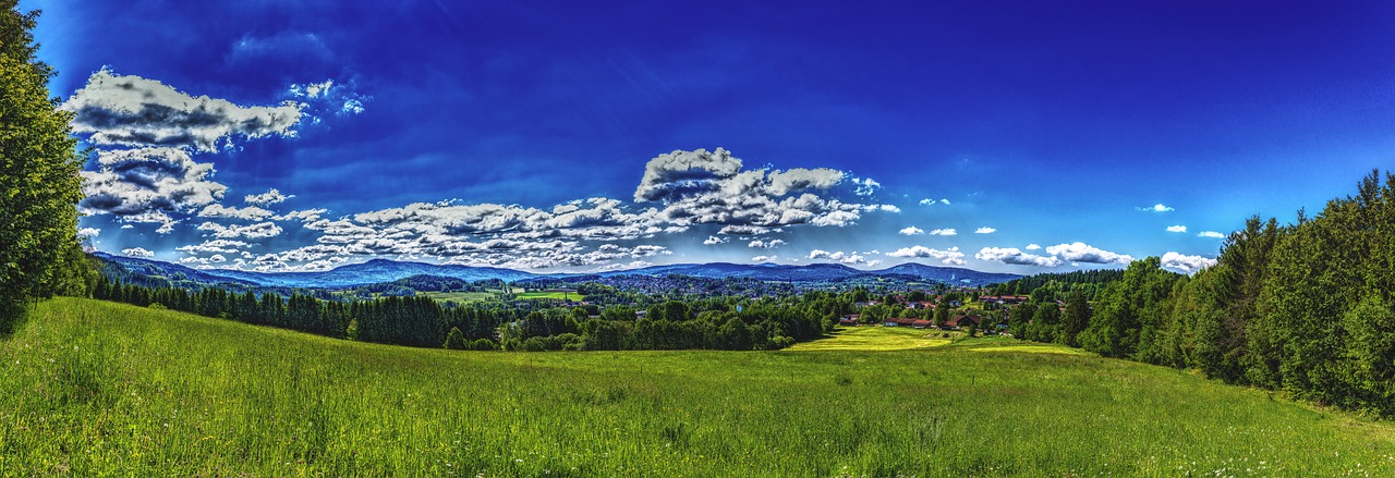 panorama bavarian forest forest free photo