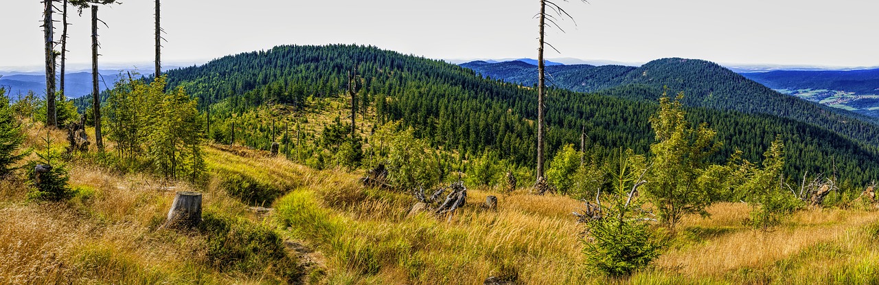 panorama bavarian forest sky free photo