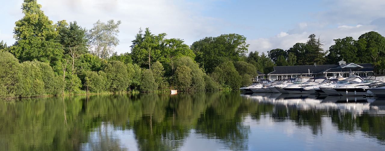 panorama boats marina free photo