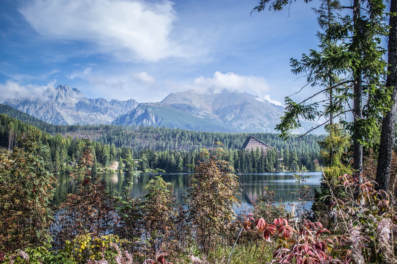 panorama pleso nature free photo