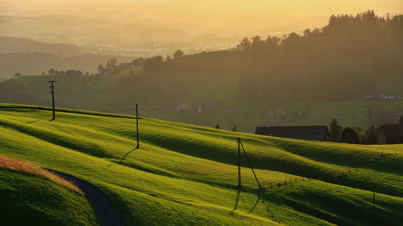 panorama  agriculture  landscape free photo