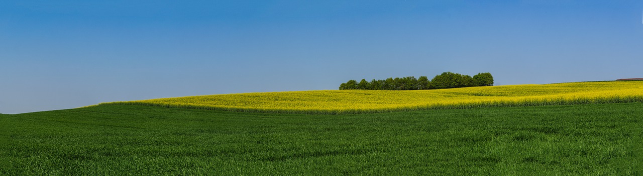 panorama  fields  agriculture free photo