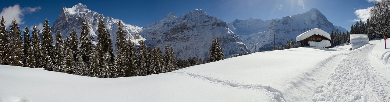 panorama winter grindelwald free photo