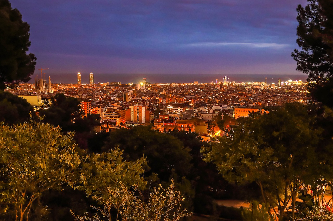 panorama  city  evening free photo