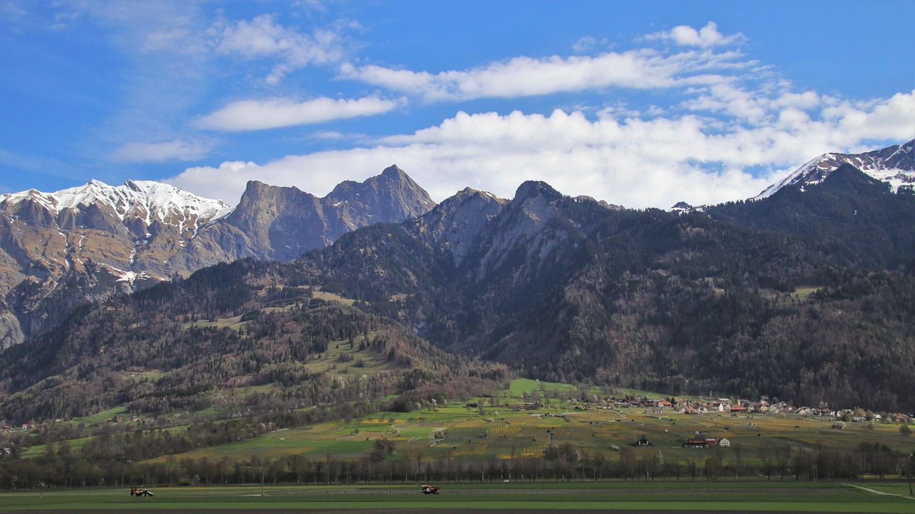 panorama  mountains  meadow free photo