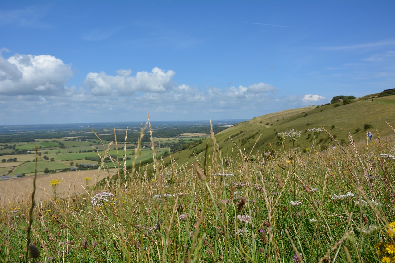 panorama meadow outlook free photo