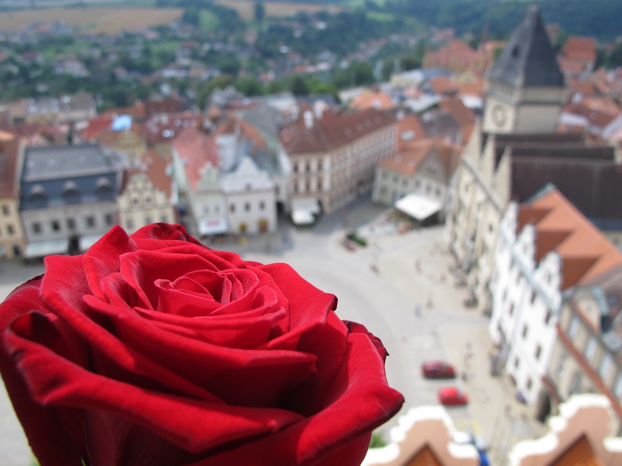 panorama rose prague free photo