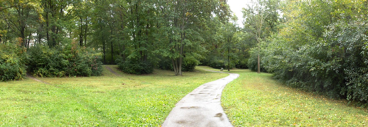 panorama park path free photo