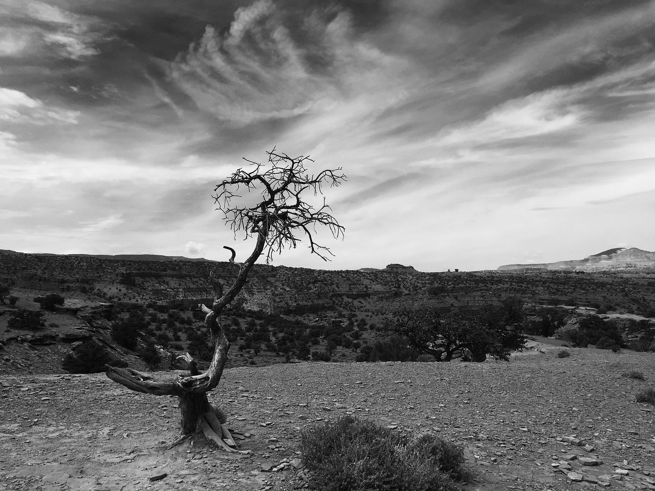 panorama stitch teasdale landscape free photo