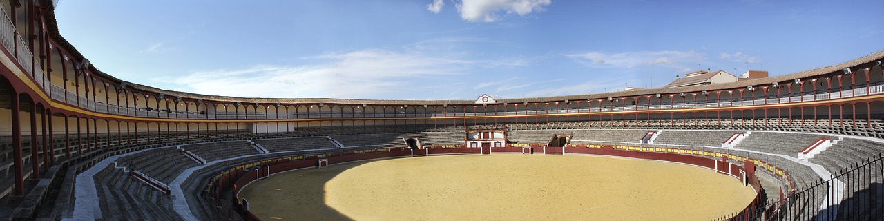 panoramic plaza bulls free photo