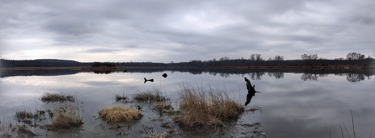 panoramic water dusk free photo