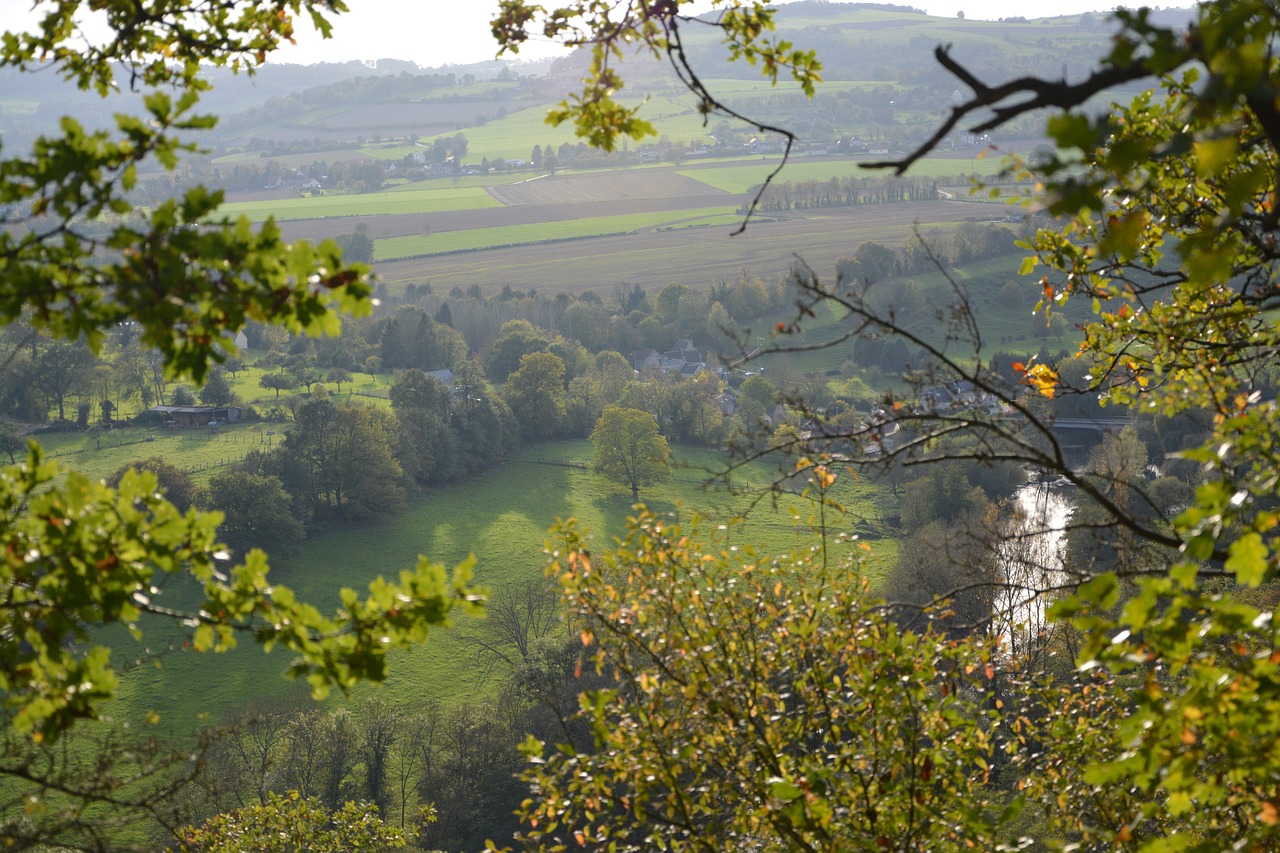 panoramic nature trees free photo