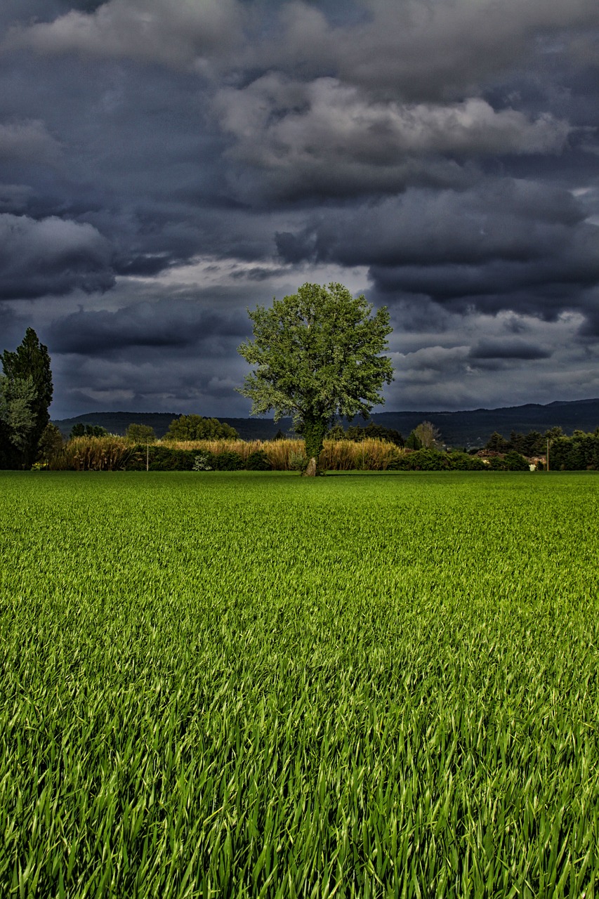 panoramic lawn prairie free photo