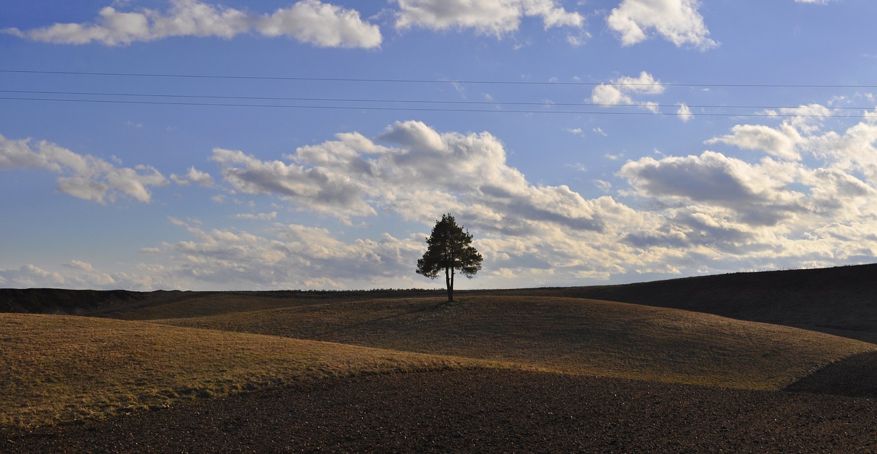 panoramic  sky  landscape free photo