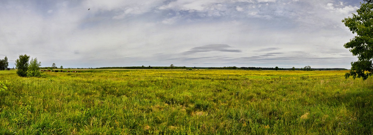 panoramic  field  nature free photo