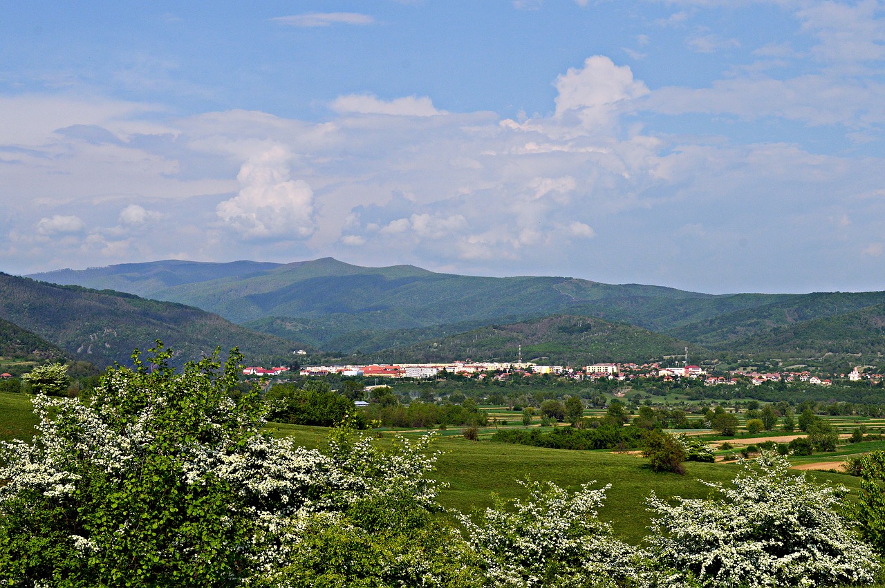 panoramic  nature  mountain free photo