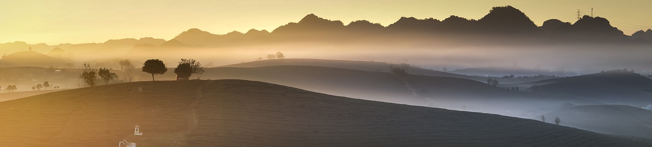 panoramic  farm  the morning free photo