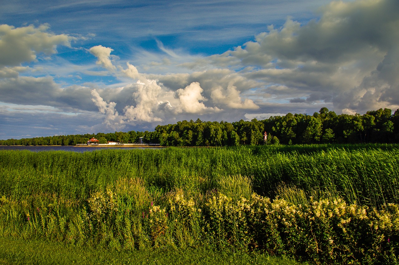 panoramic  nature  sky free photo