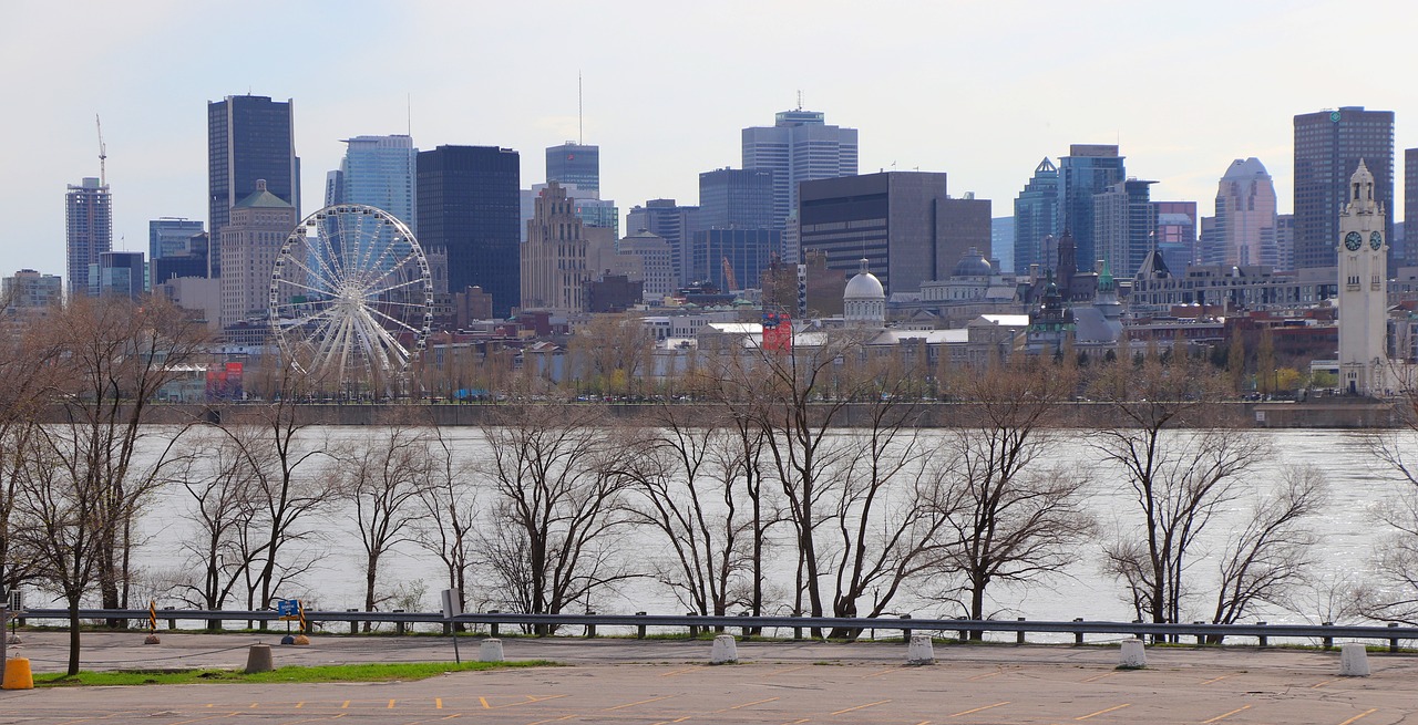 panoramic  city  skyline free photo