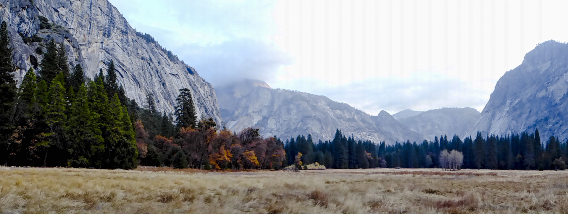 panoramic view meadow free photo