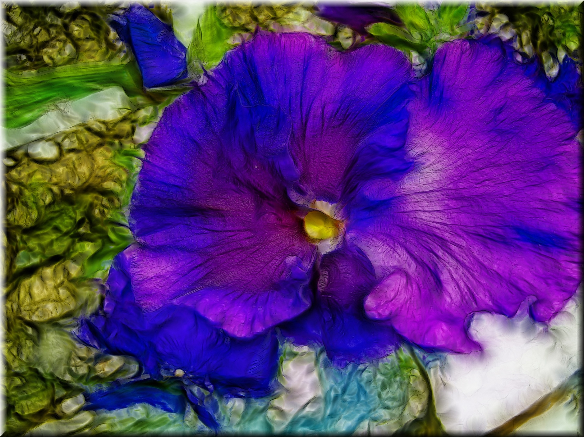 pansy violet flower free photo