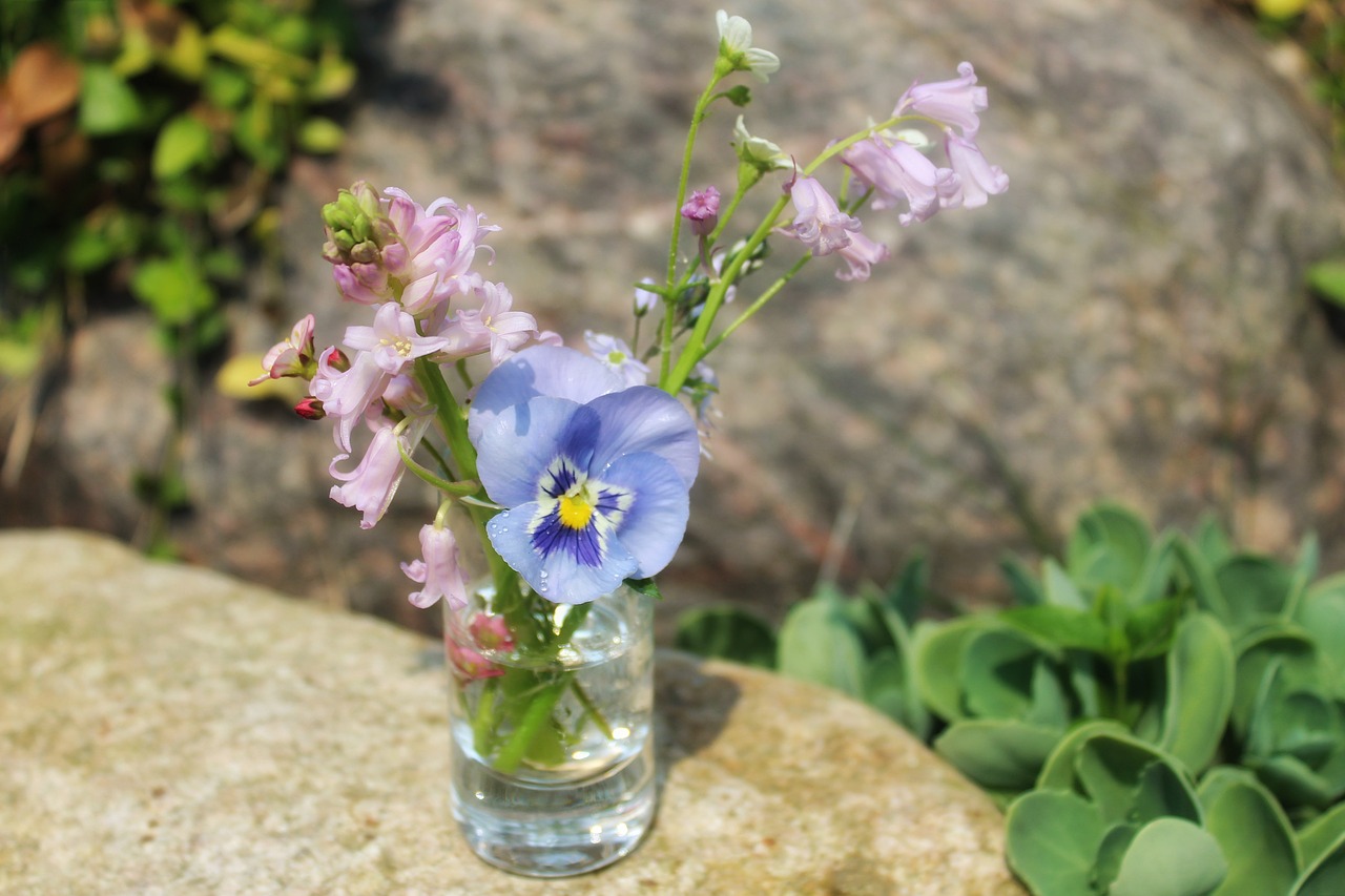 pansy  flowers  vase free photo