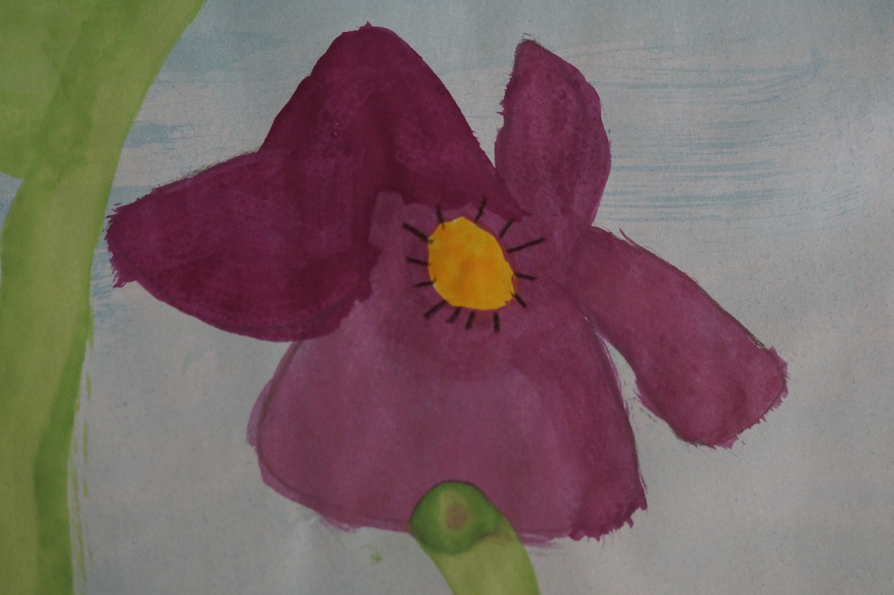 pansy painted school free photo