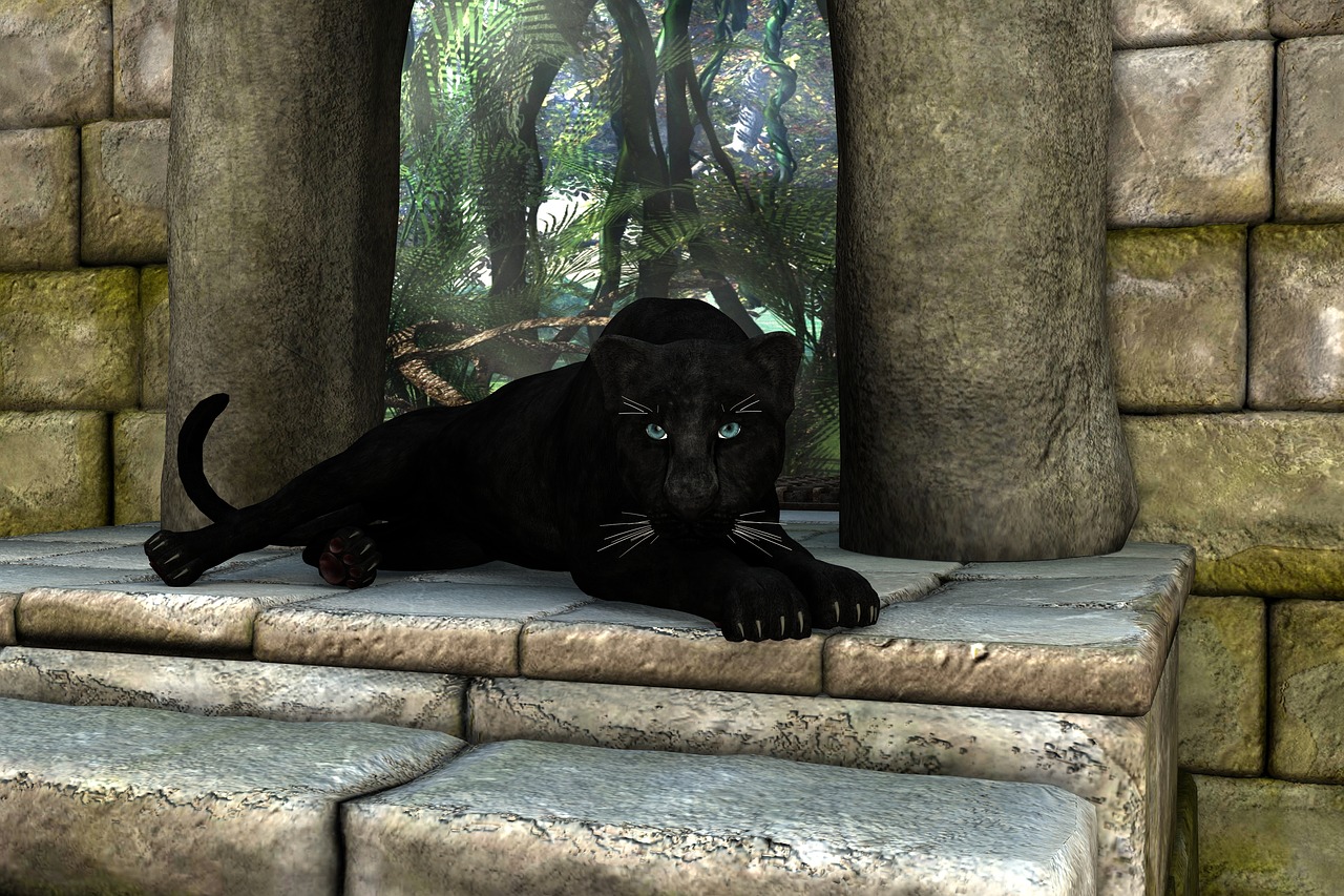 panther black mystical free photo