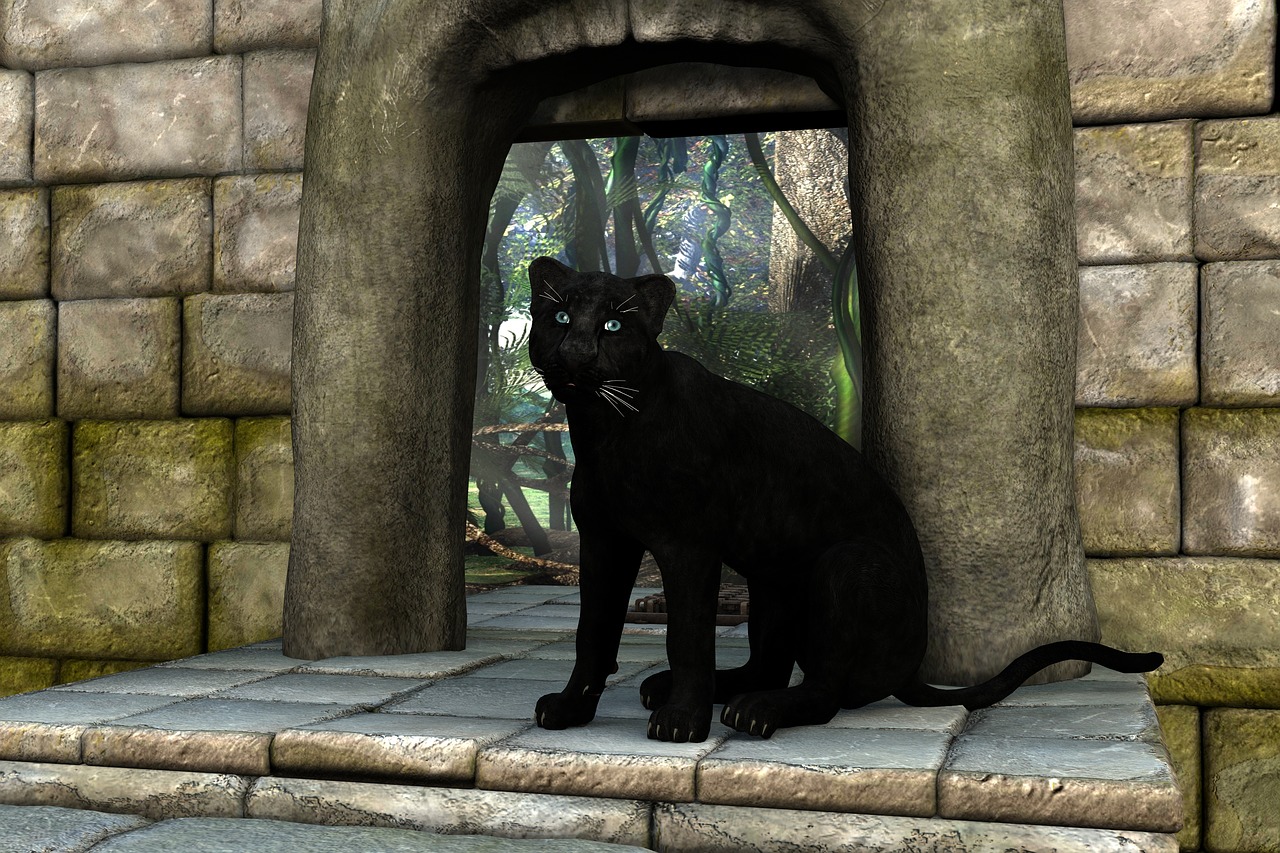panther black mystical free photo