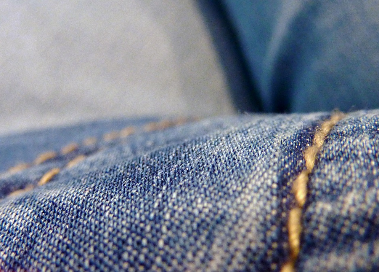 pants jeans denim free photo