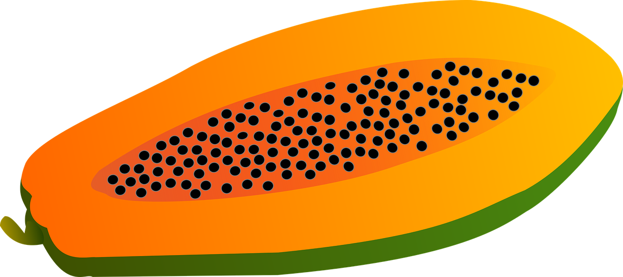 papaya fruit vector free photo