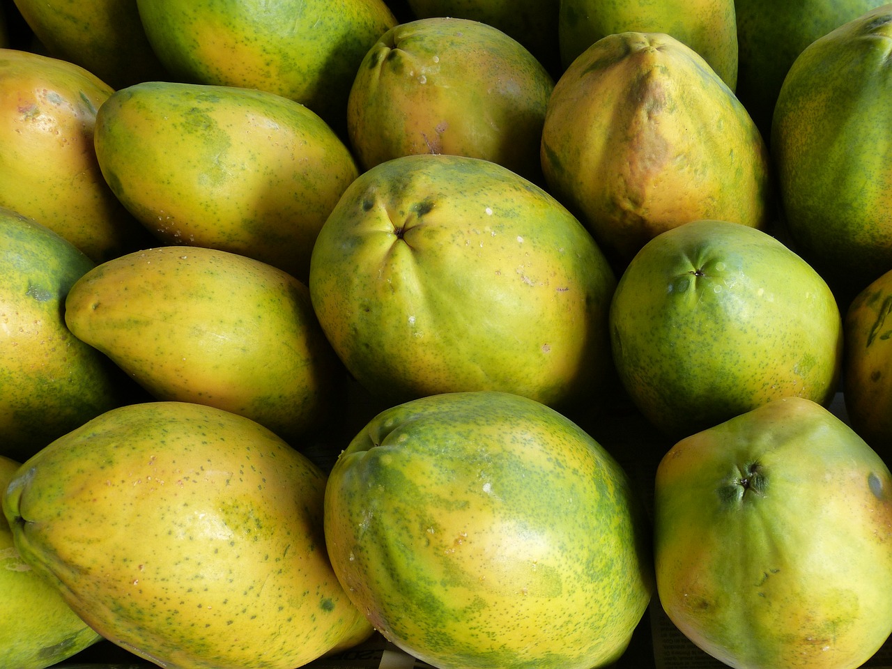 papaya fruits fruit free photo