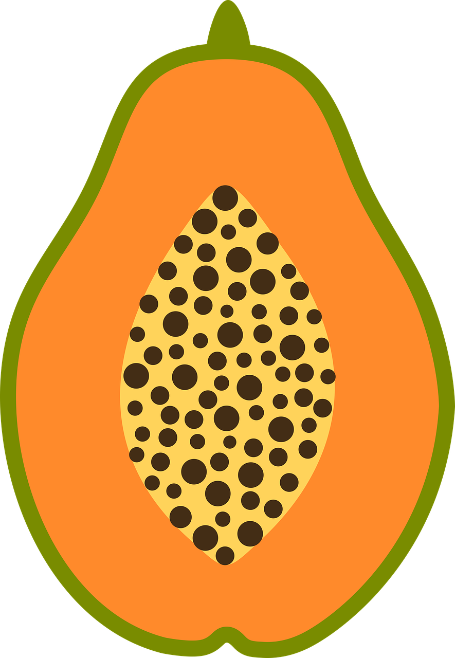 papaya  fruit  fresh free photo