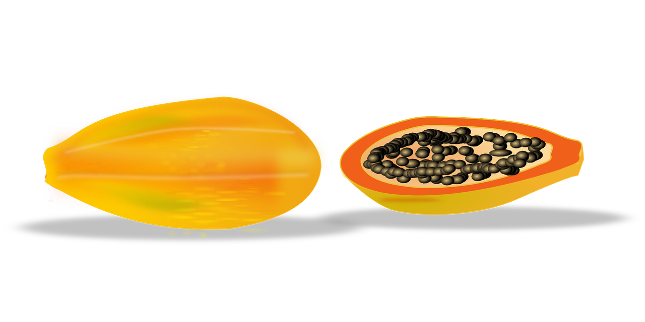 papaya slice sliced free photo