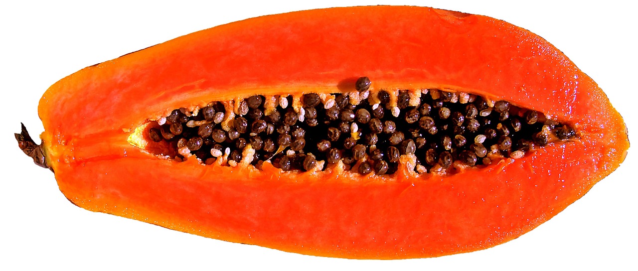 papaya fruit alim free photo