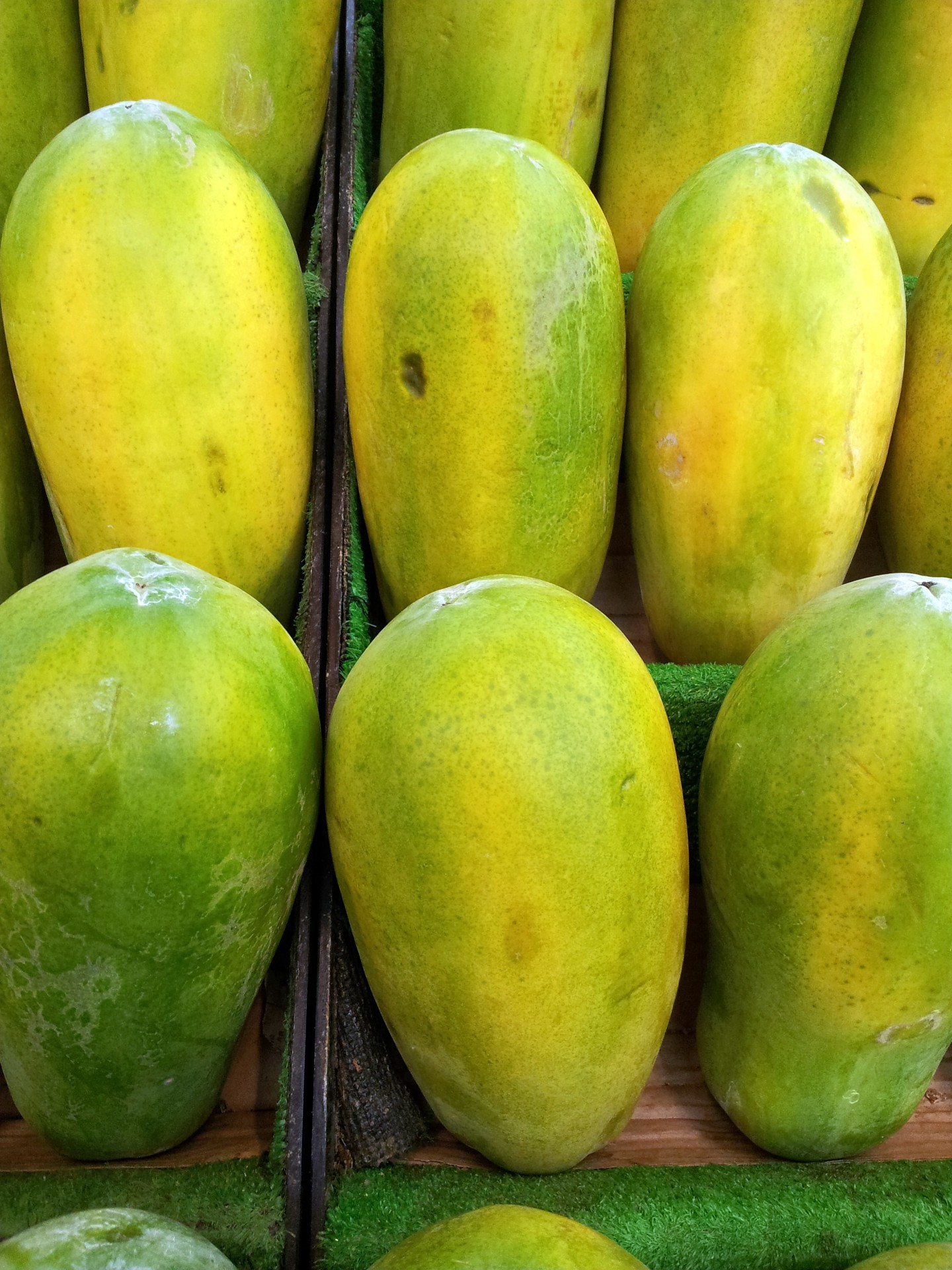 papaya piles for sale singapore green papaya free photo