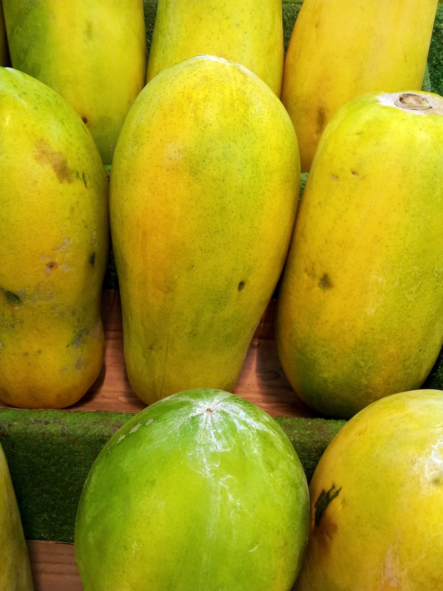 papaya piles for sale green papaya singapore free photo