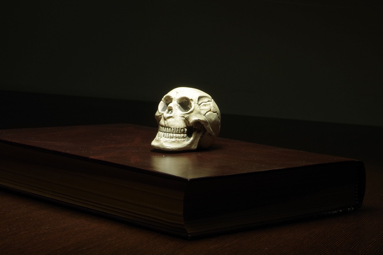 paper skull mystery free photo