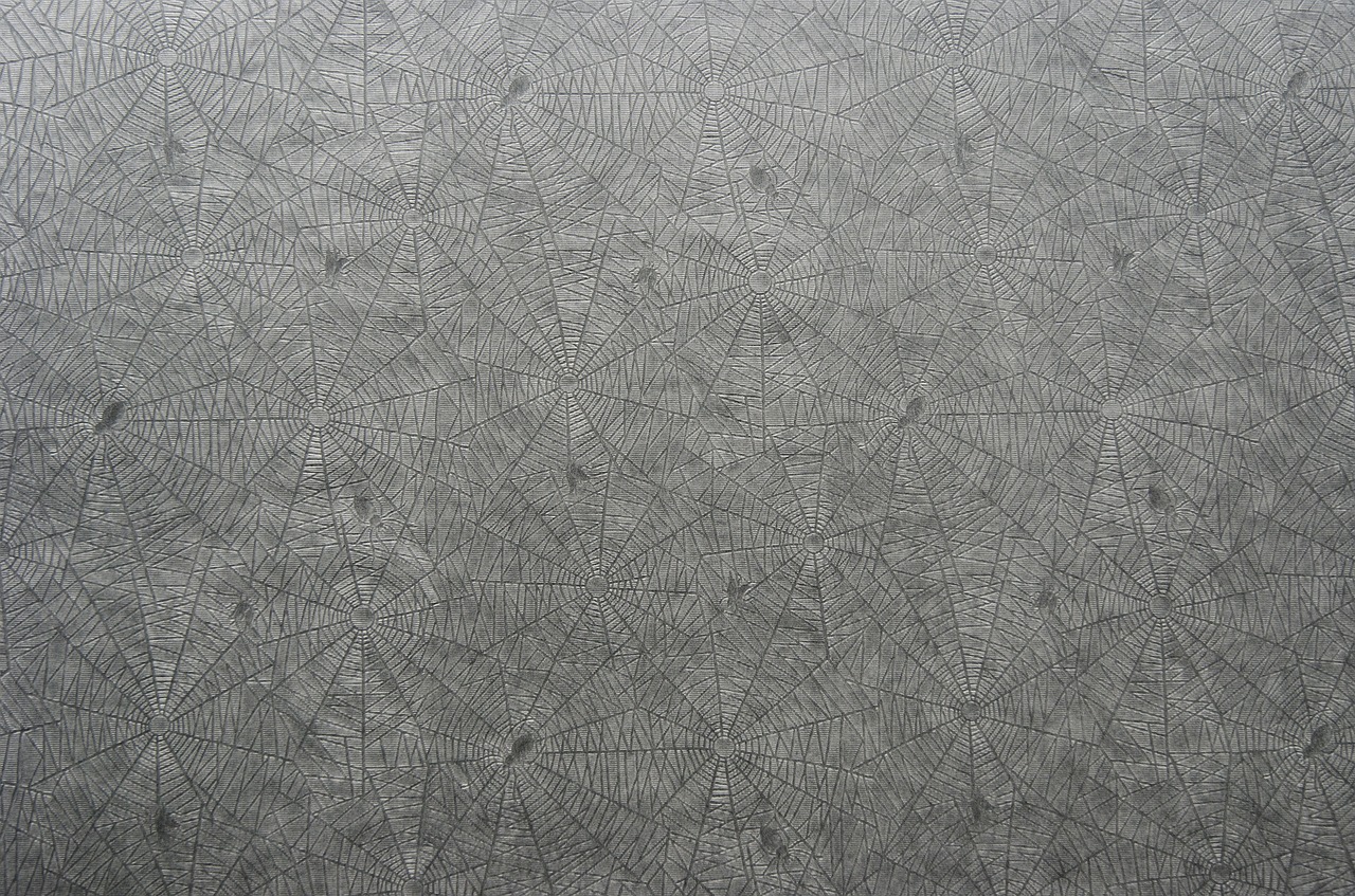 paper pattern ‪spider pattern paper‬ free photo